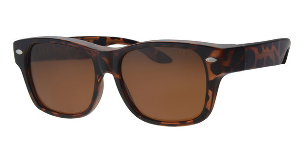Fitover sunglasses New York havanna (l/xl)